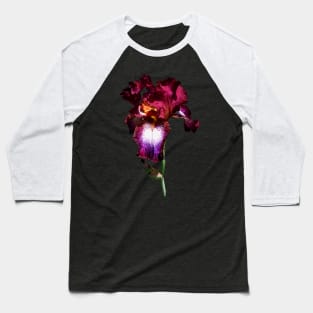 Irises - Iris Splash O' Wine Baseball T-Shirt